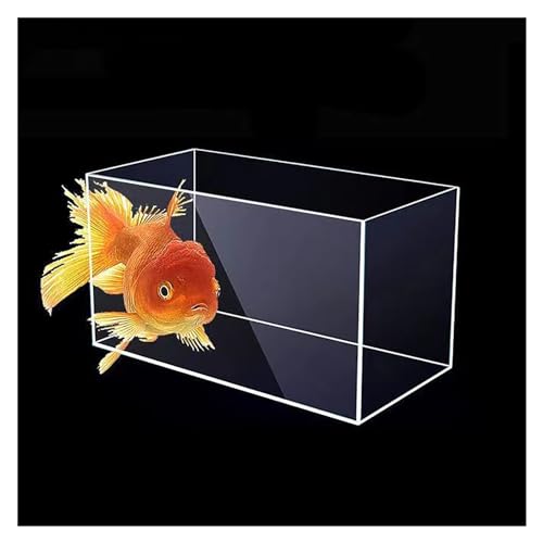 Réservoir d'eau profonde en acrylique étanche pour petit aquarium Betta