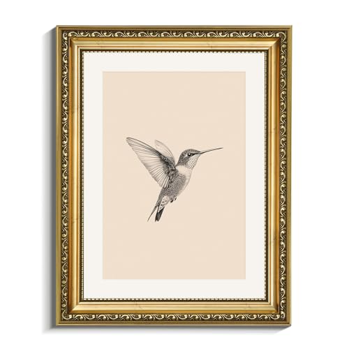 VIYYIEA Gold Framed Elegant Hummingbird Sketch Canvas Wall Art, Vintage