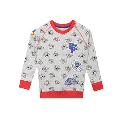 Paw Patrol Boys Sweatshirt Size 3T Grey
