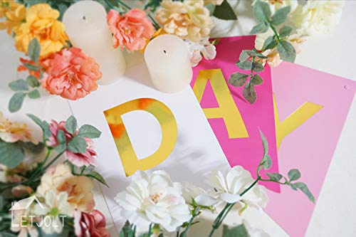 Roseo Pink Happy Birthday Banner Signs Golden Sparkle Funny Birthday Party Supplies For Girls Birthday Party Birthday Decorations Nursery Hanging Decorations 13 Pieces #TOP4