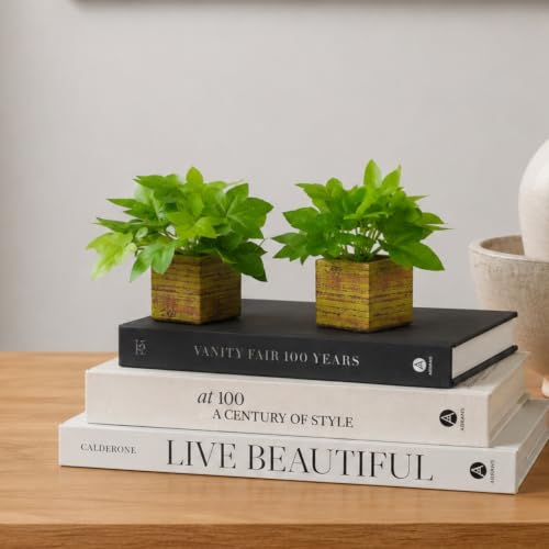 Image of DecoreBugs Artificial Real Touch Flower Plant with Pot (Pack of 2), 16 cm Height, Decorative Faux Floral Plant for Home, Office, Living Room, Bedroom, Table & Shelf Decor