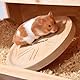 Laufteller Spidi aus Massivholz für Kleintiere, geräuscharmes Laufplateau für Hamster, Rennmaus und Zwerghamster, Ø 20 cm, rückenschonend und stabil
