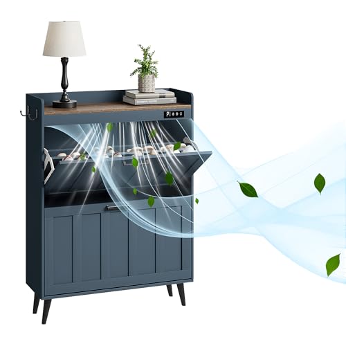 ChooChoo Shoe Storage Cabinet with 2 Flip Drawers and Deodorizer