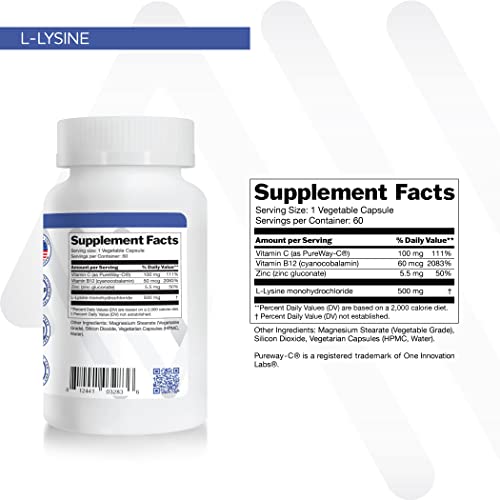 Anew Vita L-Lysine Supplement | W/ Vitamin B12 + C + Zinc | Lip, Mouth, Oral Tissue Health | Immunity Support | 500Mg | 60 Vegetable Capsules | Non-Gmo | Gluten Free | Made In Usa #TOP3