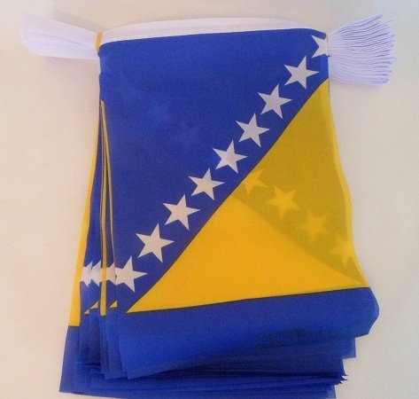 9 Metres 30 Flag Bosnia Bosnian Material Bunting