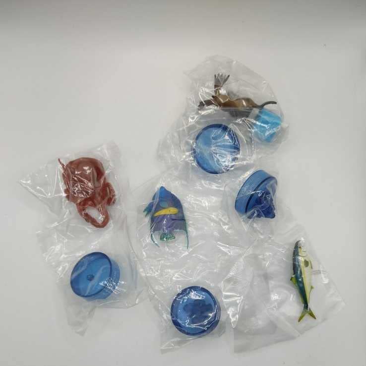 日本水族館立体生物図録6 日本水族館立体生物図録6