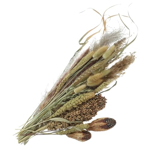 Ramo de flores secas natural pampas y broomcorn miniatura 1