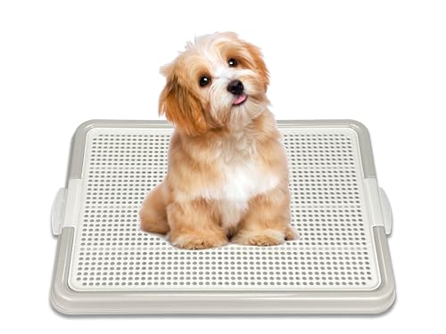 Dog-Pee-Pad-Holder-Puppy-Potty-Training-Tray-225X165-for-Small-Dogs-Gray Dog Pee Pad Holder Puppy Potty Training Tray 225X165 for Small Dogs Gray