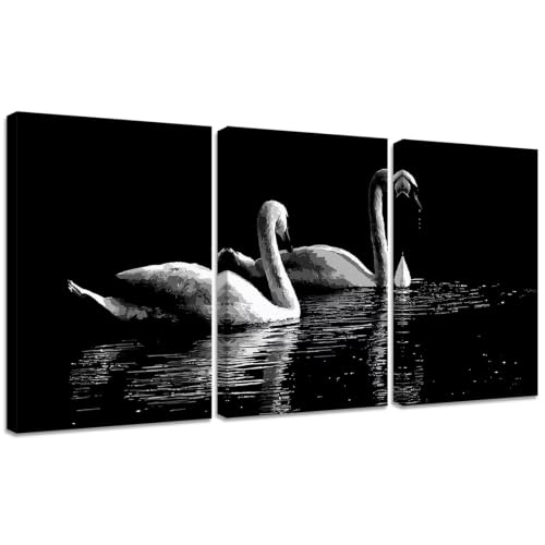 Peinture de diamant cygne 50x70cm complet pour adultes amateurs de broderie diamant