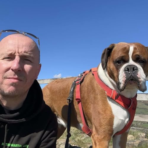 Rick Hibbert - Mixes Podcast Por Rick Hibbert arte de portada