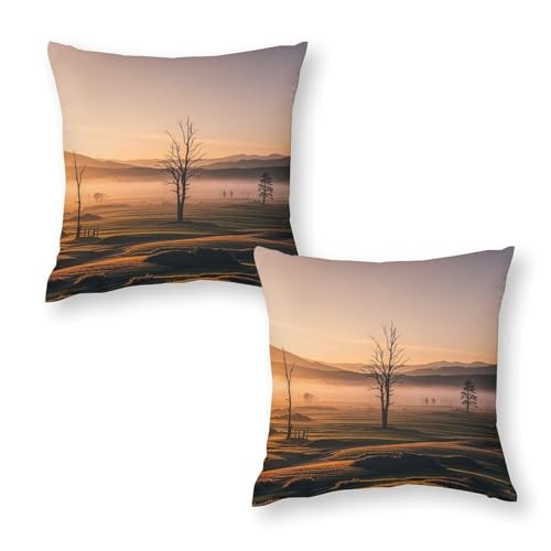 RKJVB �N�b�V�����J�o�[ 2���Z�b�g 30.54cmx30.54cm �~�X�e�B�T�����C�Y ���J�o�[ ���������`�s���[�P�[�X �\�t�g ���K �N�b�V�����P�[�X �\�t�@/�x�b�h/�Q��/���r���O���[��/�I�t�B�X�p