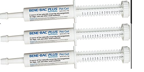 (3 Pack) Bene-Bac Plus Probiotic Pe…