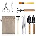 LIHAO 9 Piece Basic Bonsai Tools Set, Includes Pruning Shears, Mini Rake, Fold Scissors and More
