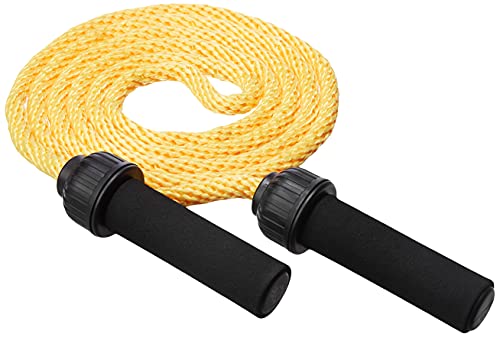 Burnlab Premium Weighted Skipping Rope with Extra Thick Cable (280) (B07XXRH4QL) Amazon Price History, Amazon Price Tracker