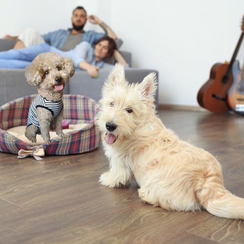 Hundebody Nach OP, OP Body Hund, Genesungsanzug für Hunde nach Operationen, Wundschutz Alternative zu Kegelhalsbändern, Größe M für Kleine Hunde(Graue Weiße Streifen)