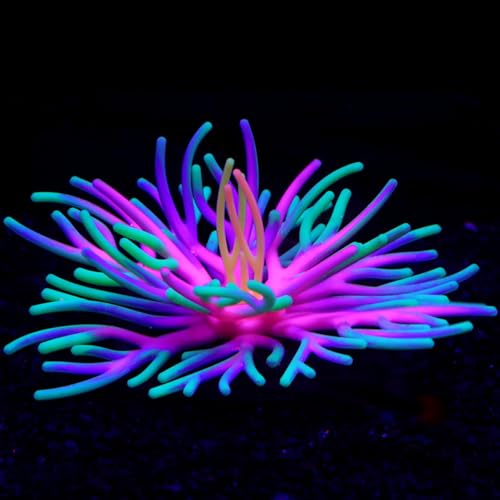 Image of Silicone Fish Tank Accessories Decorations, Aquarium Decor Ornaments for Betta Fish