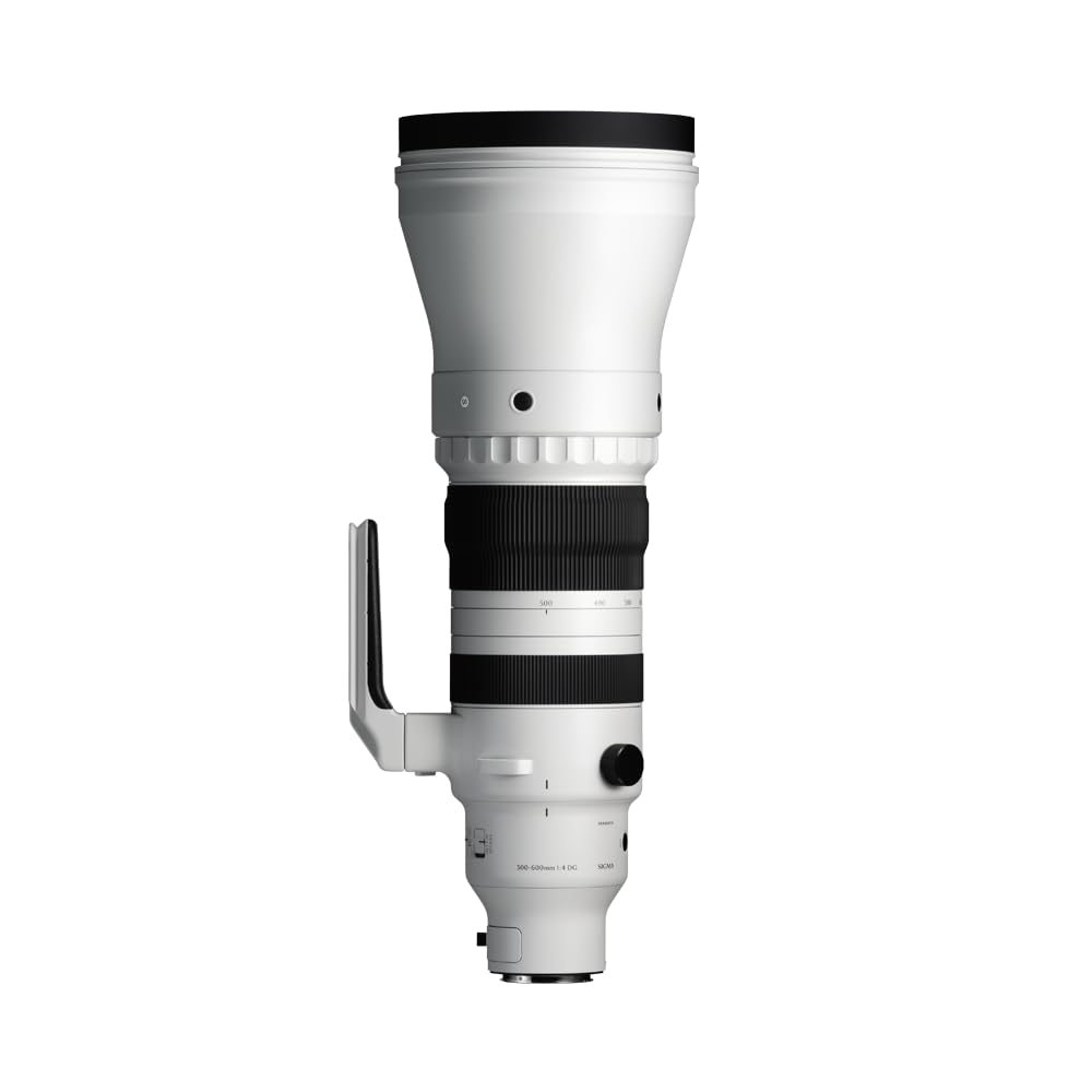 Amazon.co.jp: 300-600mm F4 DG OS Sports ソニーEマウント 大口径超
