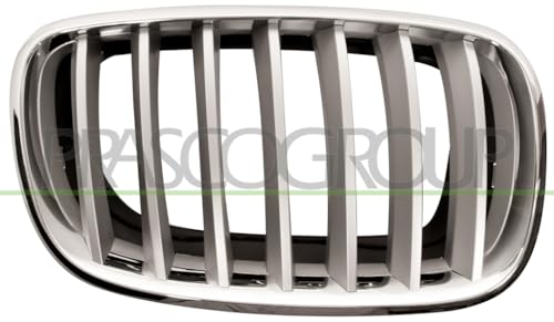 Grille de radiateur BM8222013 Prasco calandre avant BMW X5