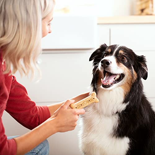 Image of Milk-Bone Original Dog Treats Biscuits for Large Dogs (Packaging May Vary), 24 Ounces (Pack of 2)