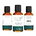 Eva Naturals Pure Tea Tree Oil (1oz) - Antibacterial Melaleuca Essential Oil Fights Acne, Eases Dandruff - Great for Insect Bites, Bruises and DIY Projects - Premium Quality, Sourced from Australia