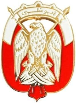 UAE Falcon Emblem Car Badge Sticker 9cm by 7cm, Silver Falcon Design with Flag, Front and Grill Falcon Car Badge. (Abu dhabi Gold and white)