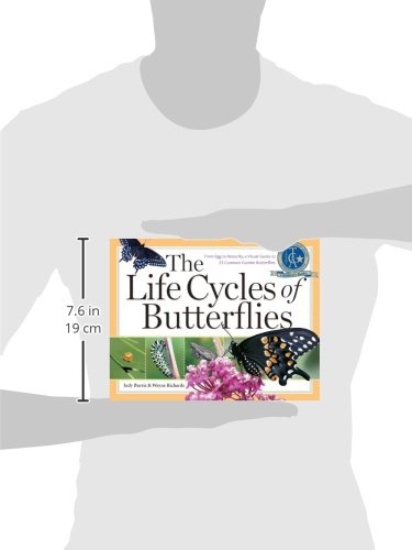 The Life Cycles Of Butterflies: From Egg To Maturity, A Visual Guide To 23 Common Garden Butterflies #TOP2