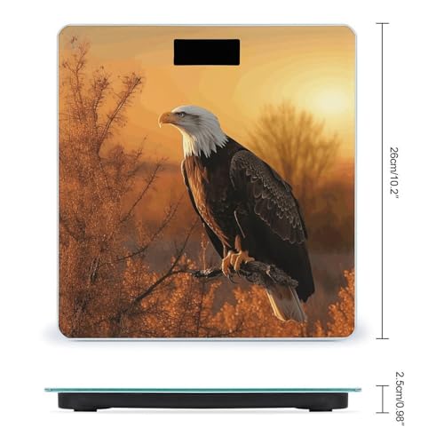 Báscula Digital de Baño con Pantalla LCD y Vidrio Templado miniatura 2