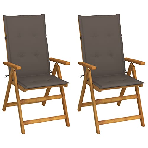 VidaXL 2X Madera Maciza Acacia
