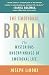 The Emotional Brain: The Mysterious Underpinnings of Emotional Life