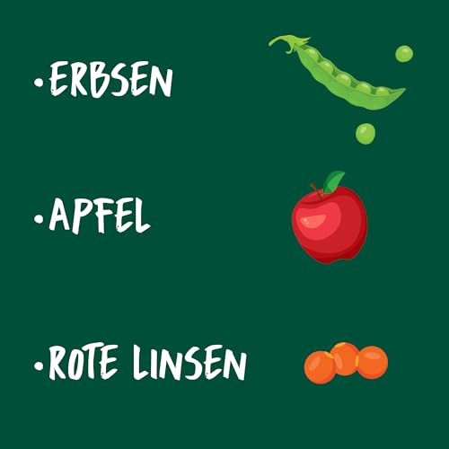 Christopherus Vegetarischer Crunchy Cracker für ausgewachsene Hunde, Leckerli für Hunde, Apfel + Linsen, 125 g