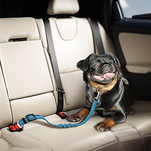 Adjustible Car Harness | Seat Belt for Pets with Elastic Bungee Buffer | Essential Travel Accessories | Dog Leash Safety Restraint | Elastic (Blue)