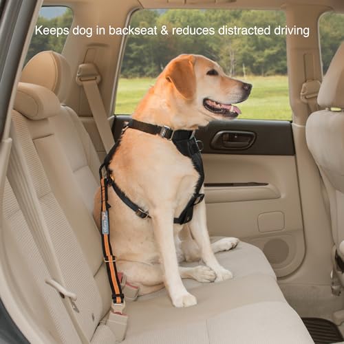 Miniatura 5 de Kurgo - Cinturón De Seguridad Ajustable Para Perros, Con Hebilla Para Coche, Correa Estilo Clip De Cinturón - Naranja Negro
