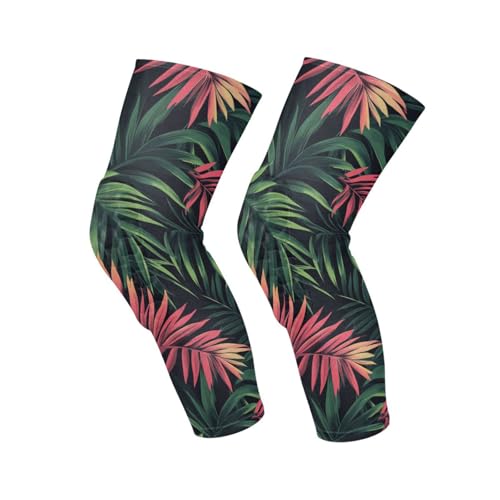 JUNZAN Tropical Palm Tree Basketball Knee Pads for Youth Kids Wrestling Knee Pads with Sleeves Sport Kneepads for Volleyball Football