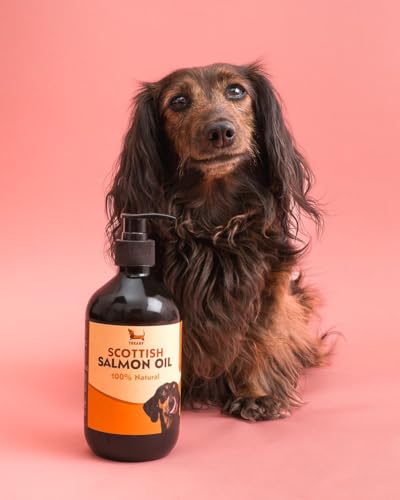 Scottish Salmon Oil for Dogs & Cats 500ml | Natural Omega 3 6 9 Fish Oil Supplement | Grain-Free Skin & Coat Support | Promotes Joint, Heart, Brain & Immune Health | Easy Pump Bottle - Image 3