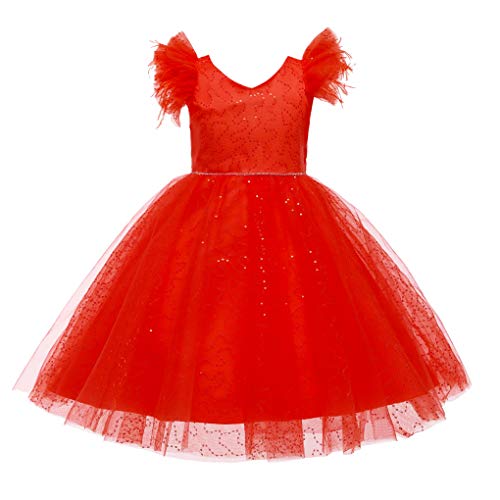 Weileenice Little/Big Girl Party Dress Tulle Girls Wedding Pageant Gown Kids Vintage Prom Holiday Tutu Dresses