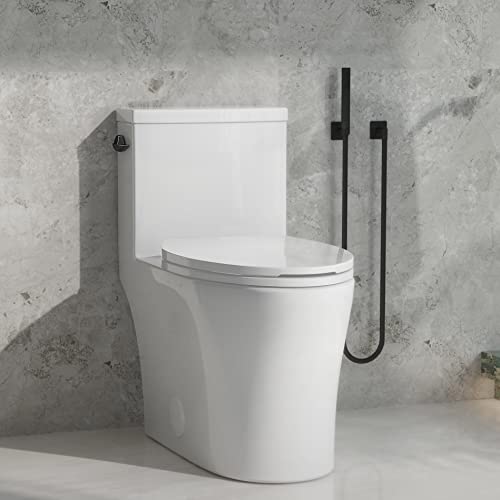 Top 10 Best One Piece Elongated Toilet Reviews & Buying Guide Katynel
