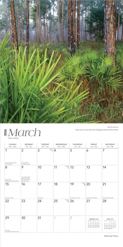 National Parks | 2026 12 x 24 Inch (Hanging) Monthly Square Wall Calendar | Plastic-Free | BrownTrout | Scenic Yosemite Yellowstone Nature - image 3