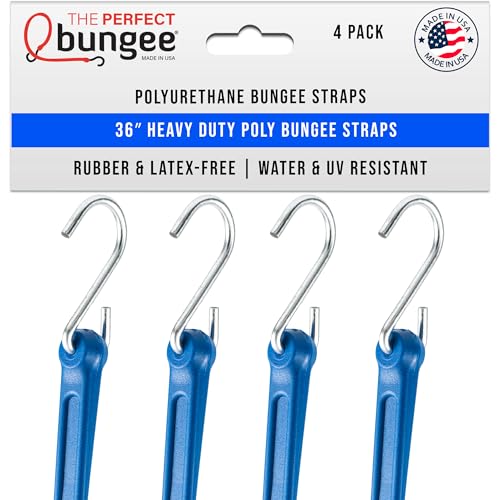 The Perfect Bungee 36
