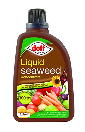 Doff algues 1 litre de liquide concentré