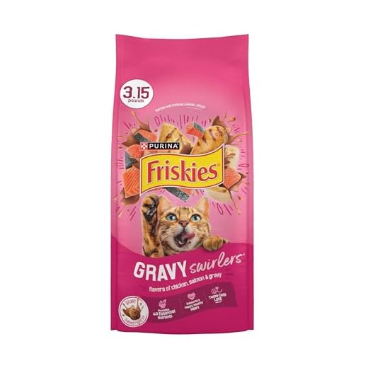 Purina Friskies Gravy Swirlers With Flavors of Chicken, Salmon and Gravy Dry Cat Food - 3.15 lb. Bag