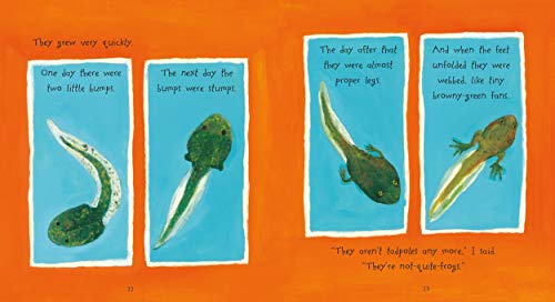 Growing Frogs - Image 3