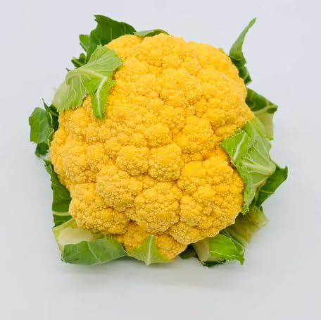 100 semi di cavolfiore giallo