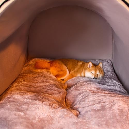 Niche pour chien portable pour protéger de l'humidité