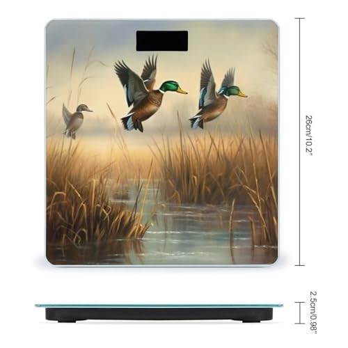 Báscula Digital de Baño con Vidrio Templado y Pantalla LCD miniatura 2