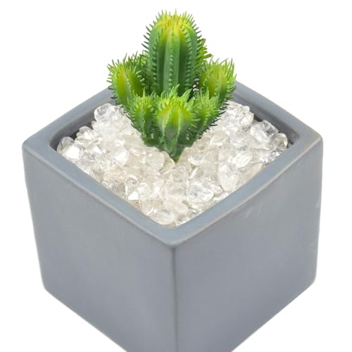 Image of WAYBER 2 Lbs /920g Natural White Clear Quartz Crystal Stones Irregular Aquarium Pebble Decorative Rocks Gravels Sands for Turtle Tank / /Terrarium /Flowerpot /Vase Decoration (Fill 2 Cups)