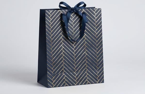 PaperAura Premium Gift Bag with Rope Handles | Luxury Paper Carry Bag for Gifts, Return Gifts, Shopping & Festive Packaging | Reusable Designer Gift Bag 13 x 4.5 x 17 Inches (Blue, Pack Of 8, Design 1)