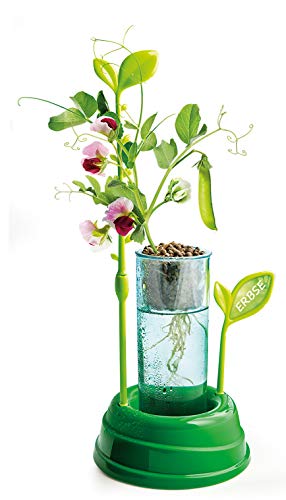 Clementoni Galileo Nature – Botanik und Hydrokultur mit Pflanzkasten & Samen für Mini-Gärtner - Spielzeug für Kinder ab 8 Jahren - spannendes Gewächshaus für Zuhause von Clementoni 59065 – Bild 5