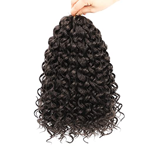Dansama 2 Packs GoGo Curl Crochet Braids Beach Curl Water Wave Crochet Synthetic Hair Extensions (12 inch (Pack of 2), #4)