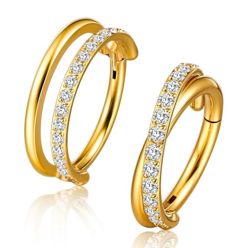 2pcs Double Loop Titanium Nose Rings,16g 8/10mm Double Hoop ASTM F136 septum rings Cartilage Helix Daith Rook Earring Hinged Septum Segment Ring Clicker Piercing Silver-Gold