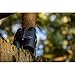 LEICA Geovid R Gen 2022 Compact Lightweight Hunting Bird Watching Rangefinder Binoculars with Carrying Strap Incuded, 15X56